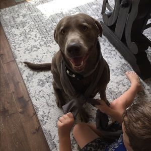 Meet your Posher, Lori